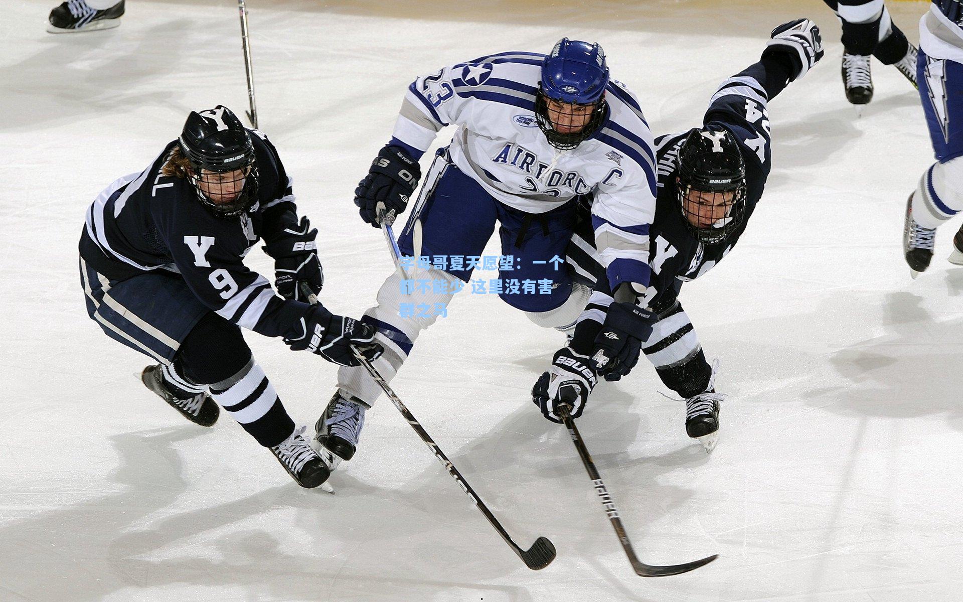 字母哥夏天愿望:一个都不能少 这里没有害群之马